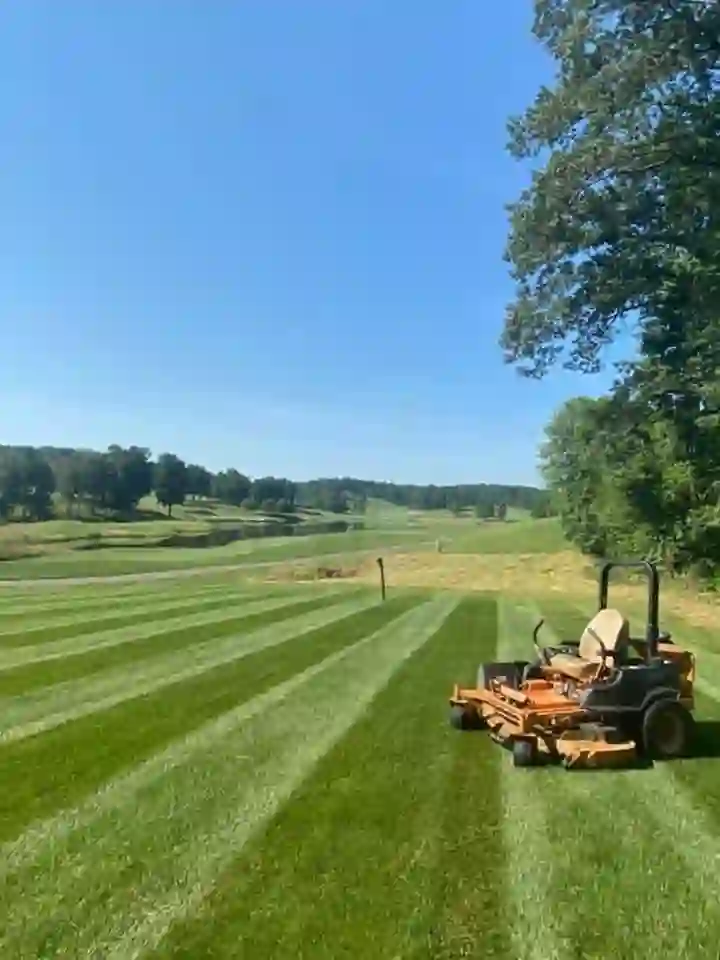 Dependable Lawn Mowing Service Dependable Lawn Mowing Service