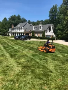 Expert Lawn Mowing