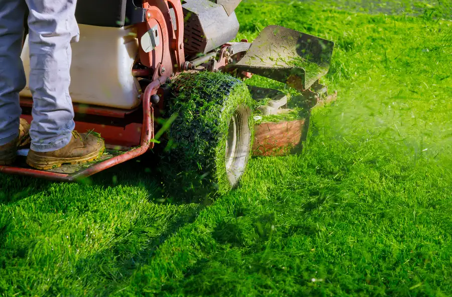 Expert Lawn Mowing Service Smithfield, VA Expert Lawn Mowing Service Smithfield, VA