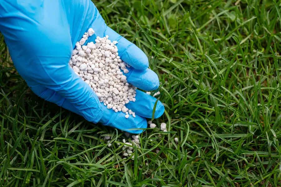 Premium Fertilizing Smithfield, VA Premium Fertilizing Smithfield, VA