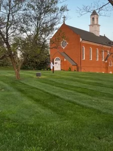 Professional Lawn Mowing
