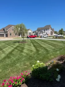 Quality Lawn Mowing
