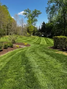 Reliable Lawn Mowing