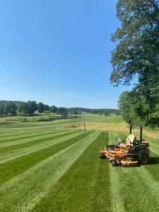 Trusted Lawn Mowing