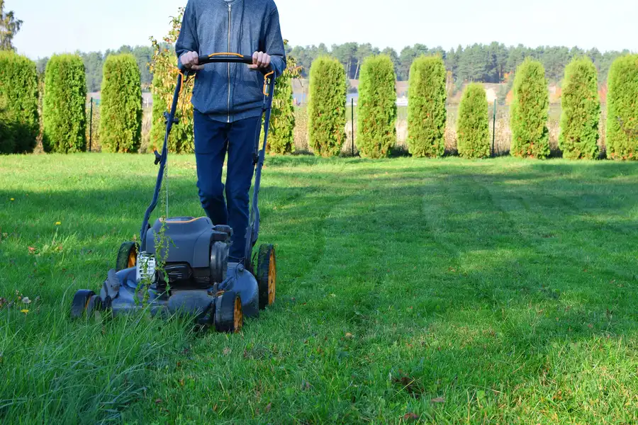 Benefits Of Professional Lawn Mowing Service For Your Yard Chesapeake, VA Benefits Of Professional Lawn Mowing Service For Your Yard Chesapeake, VA