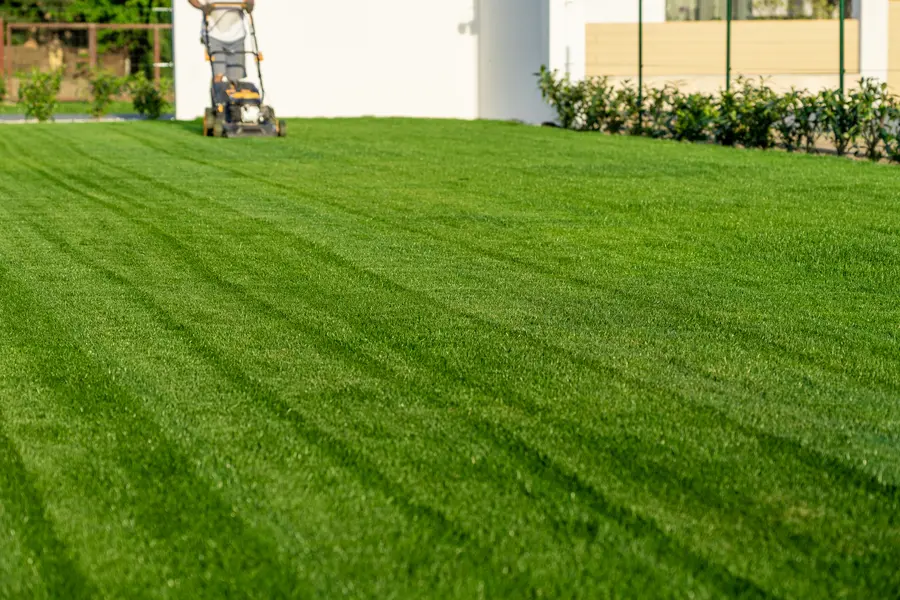 Benefits Of Professional Lawn Mowing Service For Your Yard in Chesapeake, VA Benefits Of Professional Lawn Mowing Service For Your Yard in Chesapeake, VA
