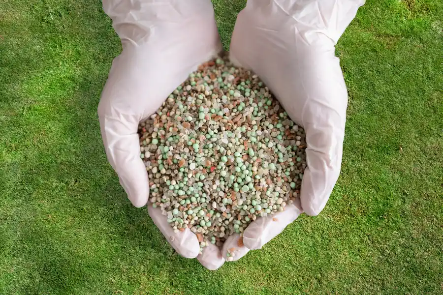 Fertilization Strategies To Enhance Turfgrass Durability in Chesapeake, VA Fertilization Strategies To Enhance Turfgrass Durability in Chesapeake, VA