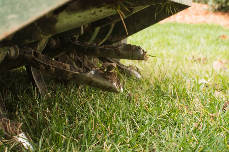 How Lawn Aeration Can Reduce Thatch Buildup Chesapeake, VA How Lawn Aeration Can Reduce Thatch Buildup Chesapeake, VA