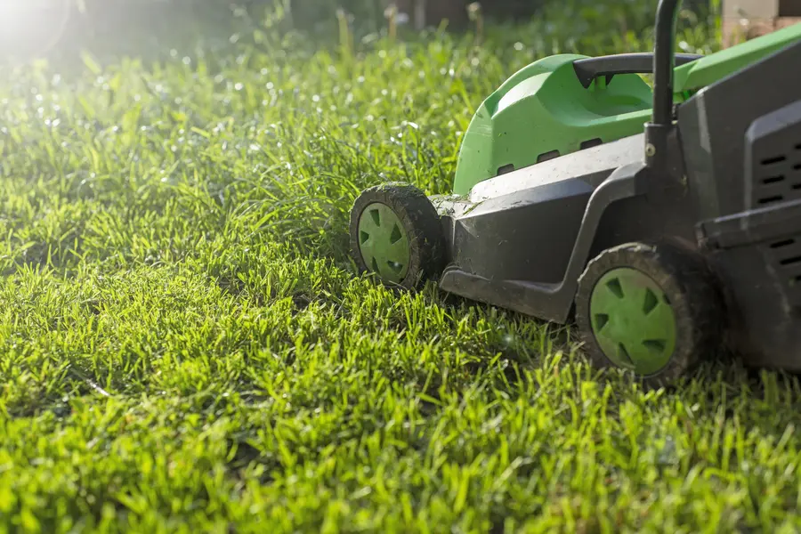 How Lawn Mowing Service Enhances Your Lawns Fertilization in Chesapeake, VA How Lawn Mowing Service Enhances Your Lawns Fertilization in Chesapeake, VA