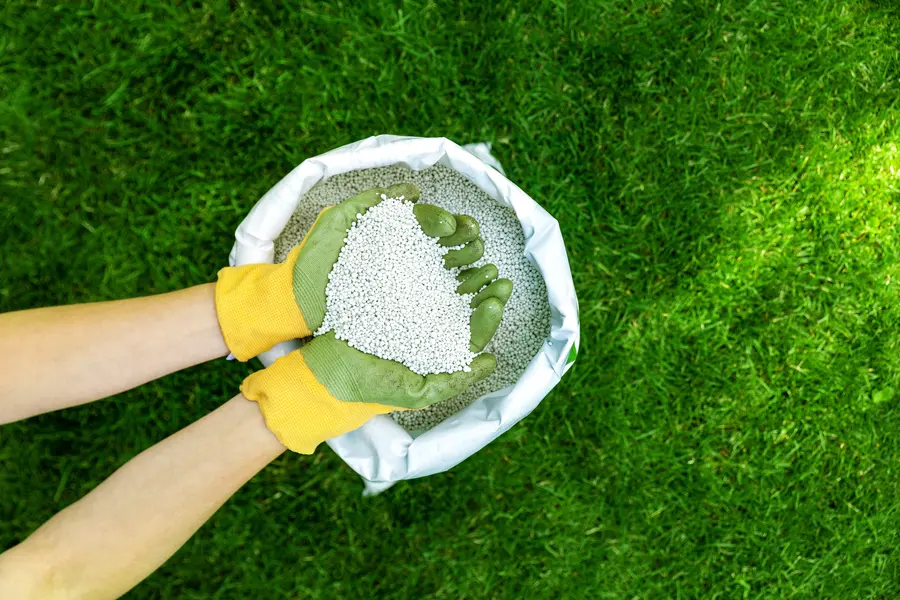 How Seasonal Changes Impact Landscape Fertilization Needs Chesapeake, VA How Seasonal Changes Impact Landscape Fertilization Needs Chesapeake, VA