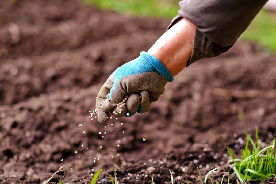 How Seasonal Changes Impact Landscape Fertilization Needs in Chesapeake, VA How Seasonal Changes Impact Landscape Fertilization Needs in Chesapeake, VA