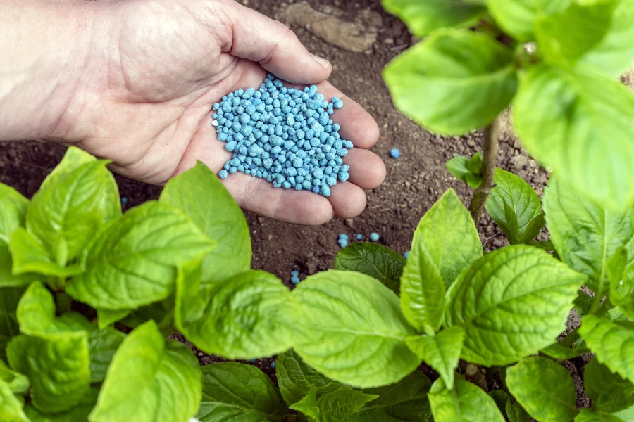 Reliable Fertilizing Chesapeake, VA Reliable Fertilizing Chesapeake, VA