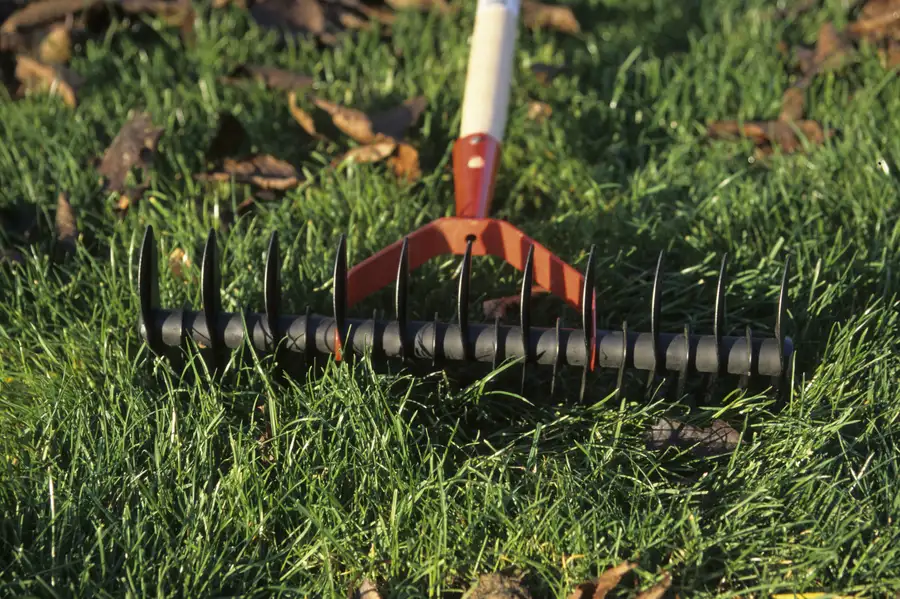 The Benefits Of Aeration For Your Lawn Maintenance Routine in Chesapeake, VA The Benefits Of Aeration For Your Lawn Maintenance Routine in Chesapeake, VA